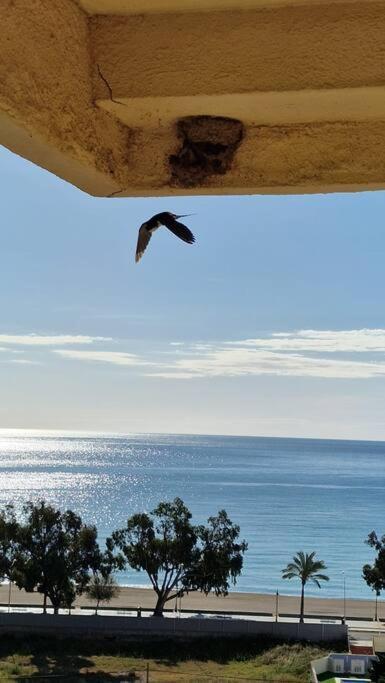 Apartamento 3 Habitaciones Con Piscina Y Vistas Al Mar 贝尼卡西姆 外观 照片