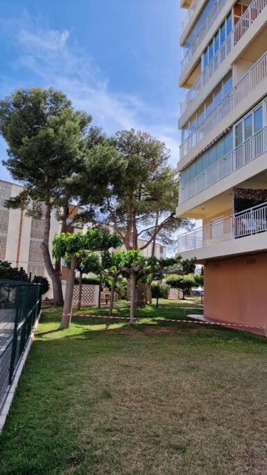 Apartamento 3 Habitaciones Con Piscina Y Vistas Al Mar 贝尼卡西姆 外观 照片